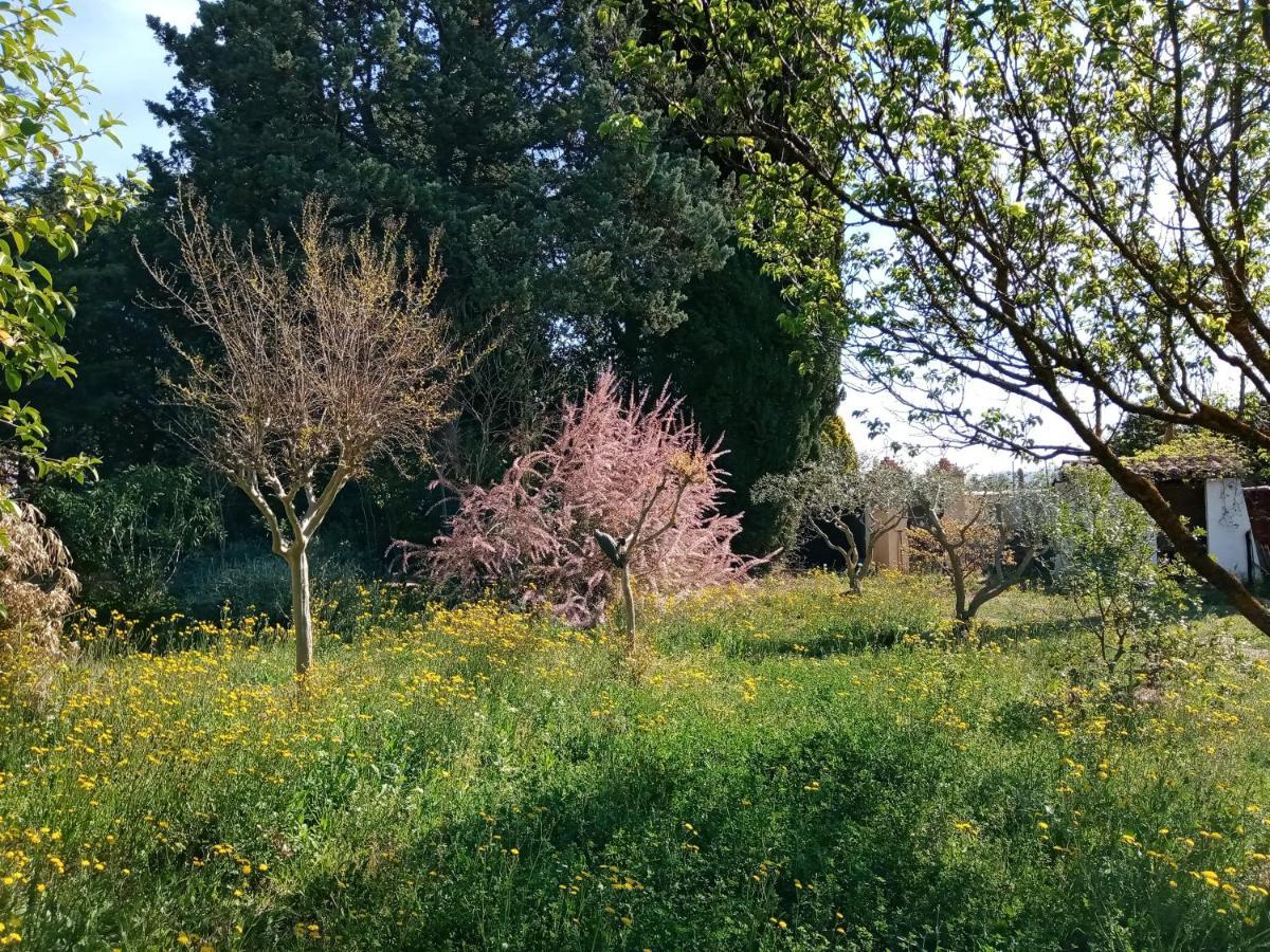 فندق Au Mas Saint Pierre Pignans المظهر الخارجي الصورة
