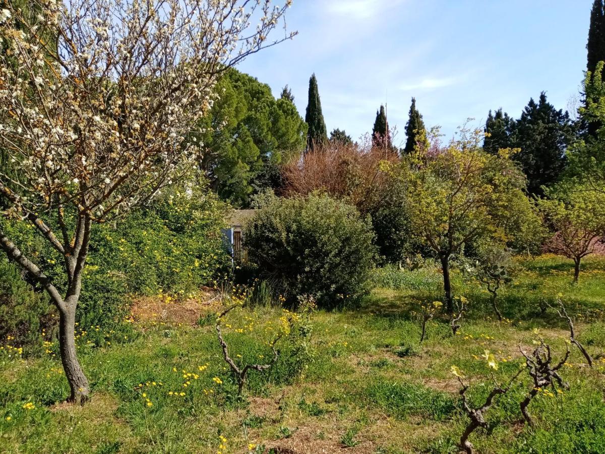فندق Au Mas Saint Pierre Pignans المظهر الخارجي الصورة