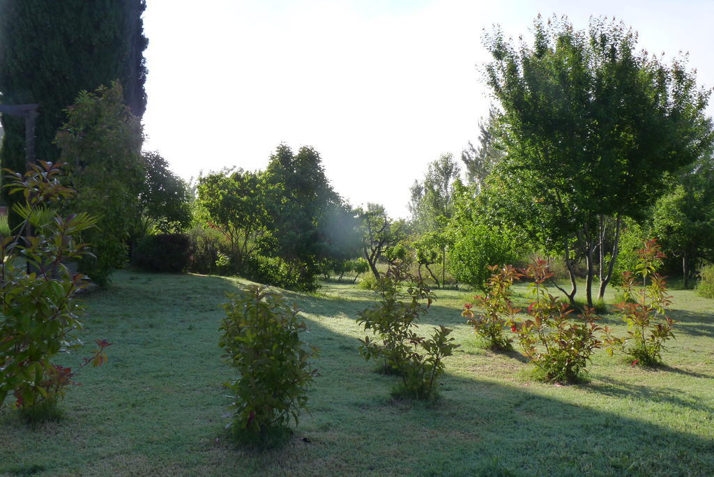فندق Au Mas Saint Pierre Pignans المظهر الخارجي الصورة